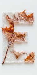 Poster - Minimalist Eco-Typography Autumn Leaf Alphabet Innovation - Sustainable Design Inspiration for Creative Branding and Environmental Communication