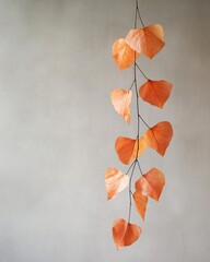 Poster - Minimal Botanical Artistry Translucent Chinese Lantern Pods Exploring Autumns Organic Color Palette for Sustainable Design and Creative Inspiration