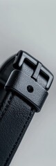Poster - Next-Gen Smart Pet Safety Sleek Matte Black GPS Tracking Collar - Innovative Wearable Technology for Modern Pet Ownership and Enhanced Animal Wellness