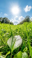 Poster - Money Smart Week Spring Solar Innovation Eco-Friendly Investment Landscape with Renewable Energy Potential Under Bright Sustainable Sunlight
