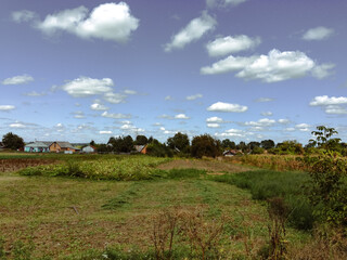 Wall Mural - field with a few houses in the background
