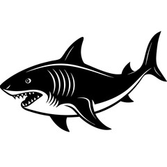 shark vector illustration