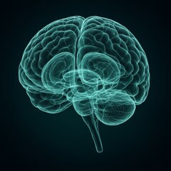 Wall Mural - Futuristic Concept of Human Brain with Neon Wireframe Design