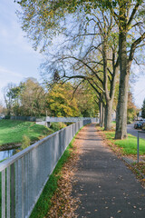 Wall Mural - park with a path and trees