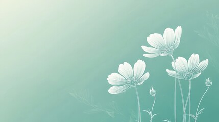 Poster - Elegant white flower outlines on a light turquoise gradient background, minimalist floral design