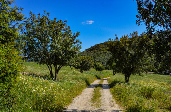 Sendero Montes Propios Cádiz Jerez Sierra Andalucía