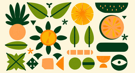 Poster - Botanical Abstraction: An artistic composition presents a harmonious blend of botanical elements, offering a fresh and stylized perspective on nature's beauty.