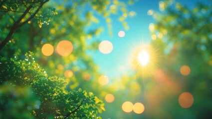 Aufkleber - Blurry nature backdrop featuring warm golden tones viewed through tree foliage with sunlight and bokeh