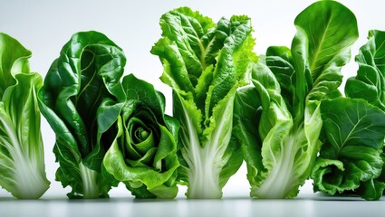 Poster - Lettuce leaves on their own