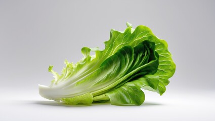 Poster - Background featuring isolated lettuce leaves.