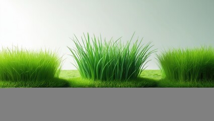 Poster - 3 distinct styles of springtime green grass