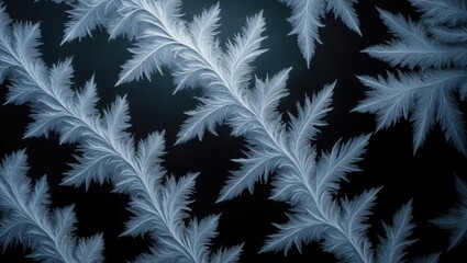 Poster - Frost Patterns on Glass Surface