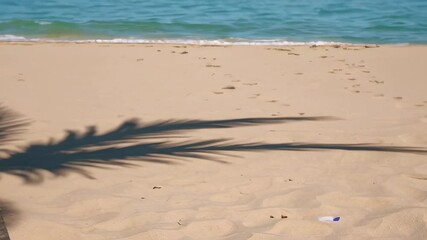 Poster - Tropical sunlight casts a shifting shadow of a palm tree on a pristine sandy beach, with gentle waves lapping at the shore in a serene coastal scene