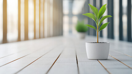 Aufkleber - small green plant in white pot sits on wooden floor in bright, modern interior with large windows. sunlight creates serene atmosphere, highlighting plant vibrant leaves