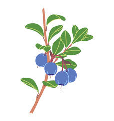 Wall Mural - bog bilberry branch with blue berries and leaves