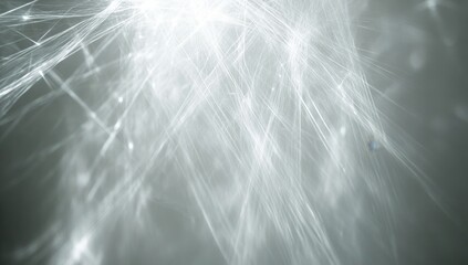 Poster - Abstract light streaks, radiating lines