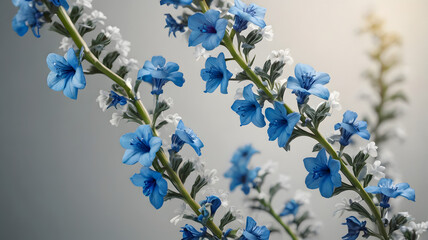 blue background with flowers