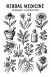 © Pawellpi Design - Engraved illustrations of herbal medicine showcasing various plants and remedies for natural healing
