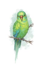 Naklejka na meble A colorful parakeet on a branch with radiant feathers in shades of green and blue set against a clean white background