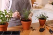 © New Africa - Woman planting herbs at table in kitchen, closeup