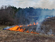 © dvande - Prescribed burn fire for prairie management