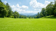 © danadesa - Serene green field landscape nature scene peaceful summer background