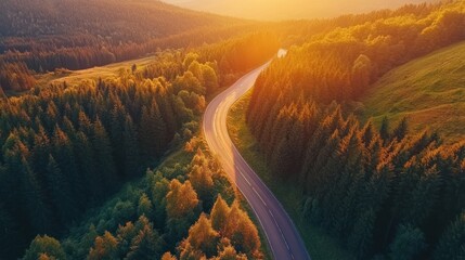 Aufkleber - Winding road through a sunlit forest landscape