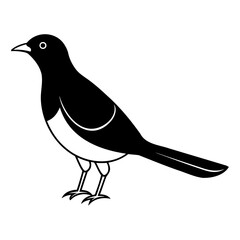 Poster - Myna Bird Outline Vector Isolated Black Silhouette Art on Transparent Background