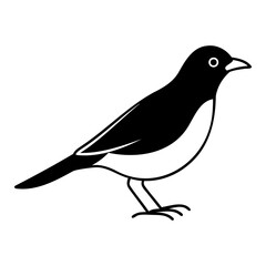 Poster - Myna Bird Outline Vector Isolated Black Silhouette Art on Transparent Background