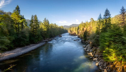 Poster - Scenic river surrounded by lush trees under a clear blue sky