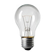 © X Land  - Clear incandescent light bulb close up studio shot on white background