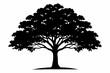 © kanchanrani - ash tree silhouette line art vector illustration