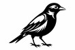 © kanchanrani - bobolink silhouette line art vector illustration