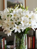 The arrangement is accented with fresh jasmine flowers, whose white petals and yellow centers enhance the softness of the scene