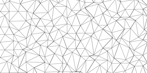 Wall Mural - Abstract of simple gray line triangle pattern geometric background .white background creative and geometric shape with white luxury pattern .Gray and white geometric background with low poly triangle 