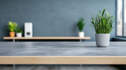 Poster - Empty grey stone countertop with potted plant in a blurred modern office