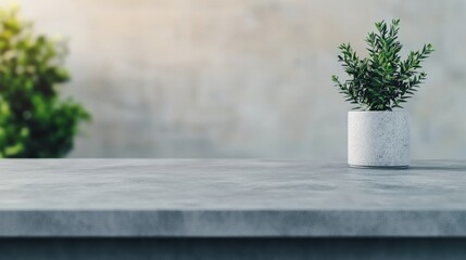 Aufkleber - Empty grey stone countertop with plant in modern office setting