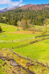 Wall Mural - rural landscape with wooden fence. sunny morning. countryside nature on mountain with sky and cloud.