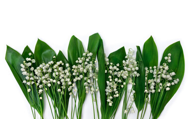 Wall Mural - white flowers lily of the valley ( convallaria majalis, may bells, may lily ) and green leaves on a 