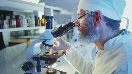 Wall Mural - bearded mature male scientist in white coat and glasses carefully adjusts microscope, analyzing samp