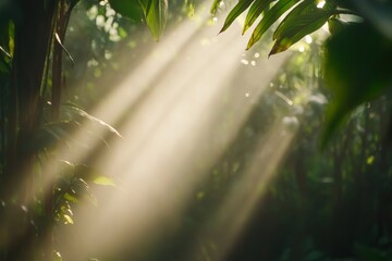 Aufkleber - Golden sunlight streams through lush palm leaves, creating a peaceful atmosphere with a soft sandy beach visible in the background, perfect for relaxation