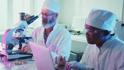 Wall Mural - two multiethnic laboratory technicians are using a microscope and a laptop, collaborating on innovat