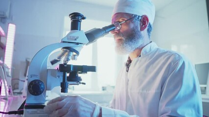 Wall Mural - experienced scientist wearing white coat and glasses carefully examining specimens through microscop