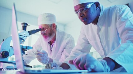 Wall Mural - two scientists, wearing lab coats, safety glasses and gloves, collaborate on a laptop, analyzing dat