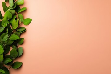 Poster - Eucalyptus branches are neatly placed on a soft pastel beige background, creating a minimalistic and elegant visual with ample copy space for text or branding