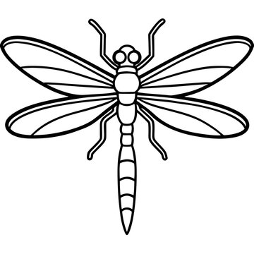 Stylized Sea Dragonfly Line Design