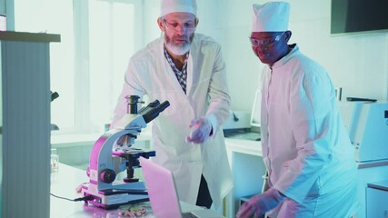 Wall Mural - two medical scientists wearing lab coats and protective glasses are working together in laboratory, 