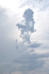 Wall Mural - gray cloud spreading on bright sky in sunny day