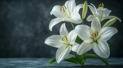 Aufkleber - branch of white lilies flowers mourning or funeral background condolence card,copy space for text,photo stock
