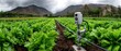 © JP STUDIO LAB - Smart irrigation system in arid farmland using soil sensors and solar-powered water control, promoting sustainable agriculture under climate stress - sensors farming Sustainable